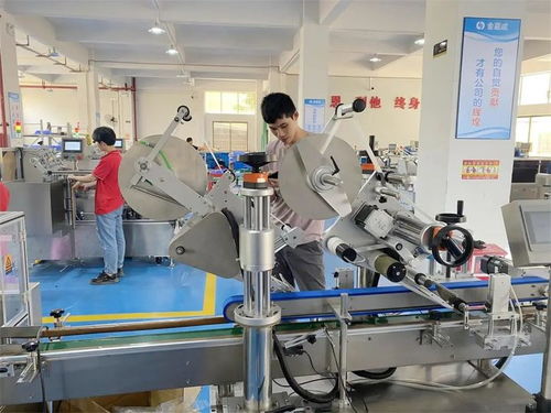 金嘉成工厂 迈向碳达峰与碳中和的节能减排实践与技术咨询